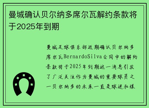 曼城确认贝尔纳多席尔瓦解约条款将于2025年到期 曼城确认贝尔纳多席尔瓦解约条款将于2025年到期