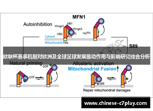 欧联杯赛事机制对欧洲及全球足球发展推动作用与影响研究综合分析 欧联杯赛事机制对欧洲及全球足球发展推动作用与影响研究综合分析